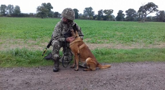 MWD On EX and handler