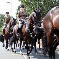 APOEMID 2018 039 RAVC Parade 068