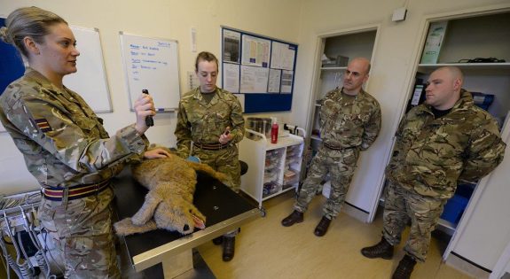 Vets taught the dog handlers how to care for their canine partners